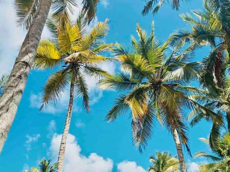 Palm House - Luxury Villa - Samana - Ocean Front Санчес