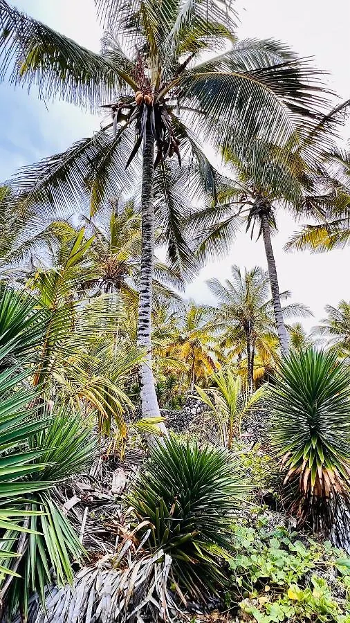 Palm House - Luxury Villa - Samana - Ocean Front Санчес