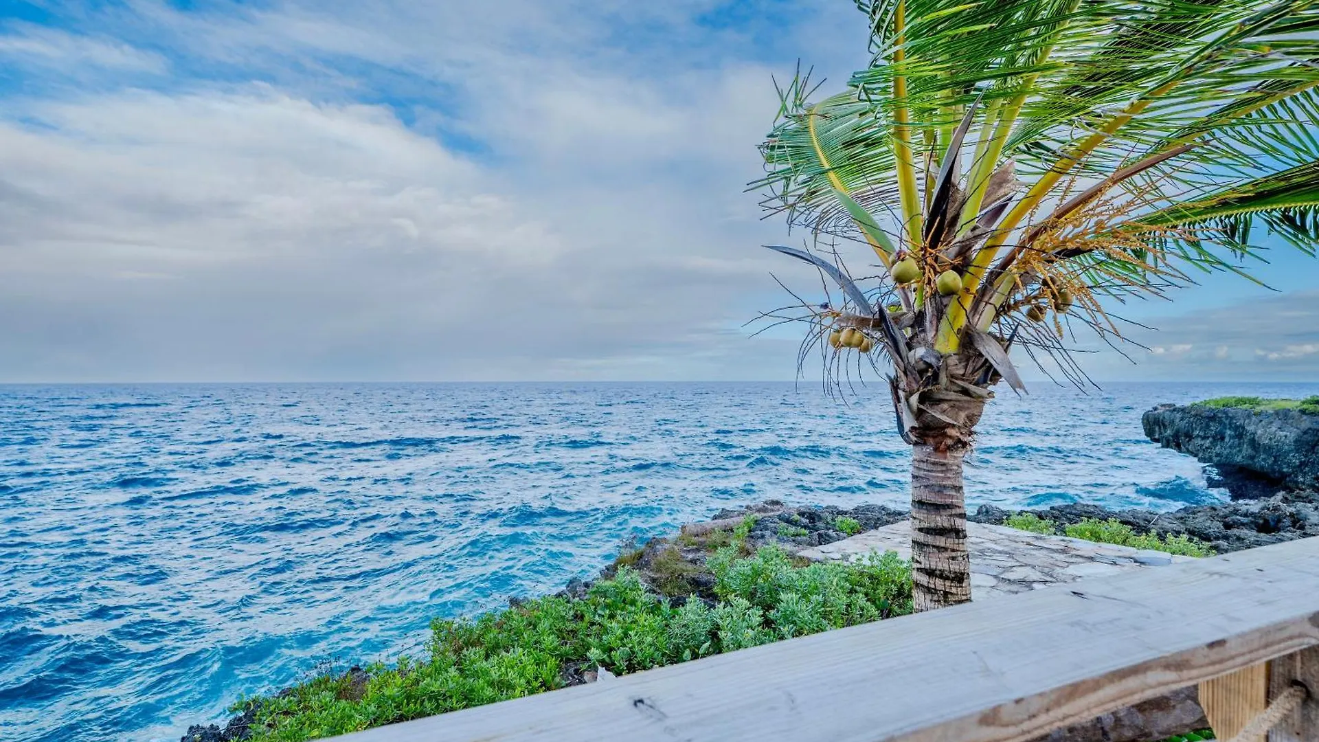 Palm House - Luxury Villa - Samana - Ocean Front Санчес