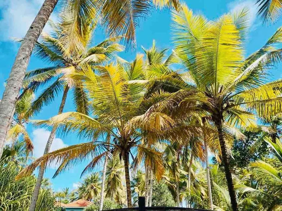PALM HOUSE - LUXURY VILLA - SAMANÁ - Ocean Front Sánchez República Dominicana
