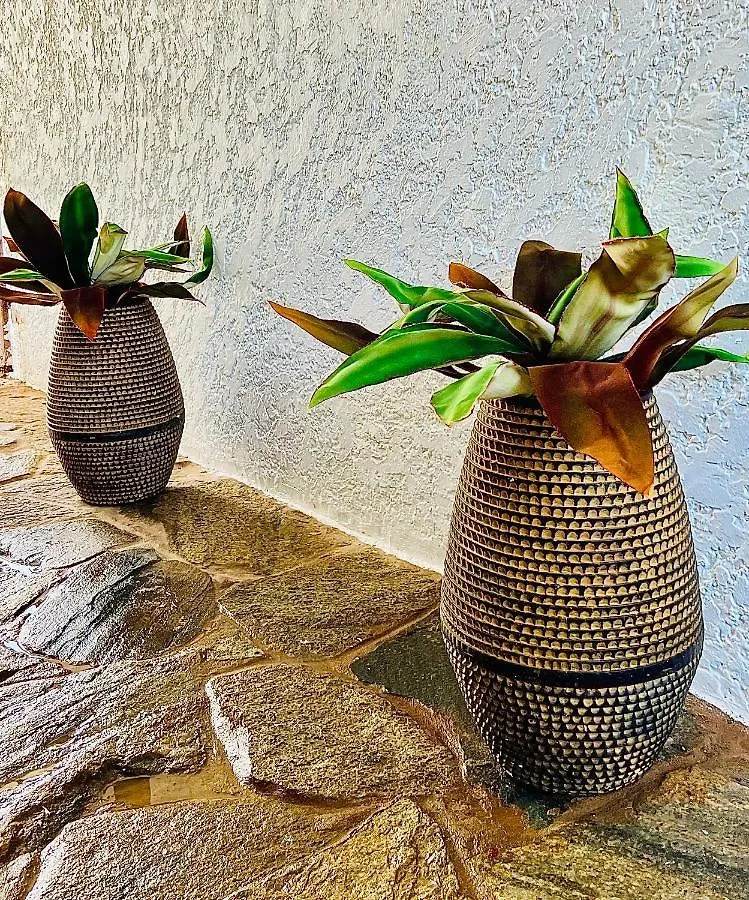 PALM HOUSE - LUXURY VILLA - SAMANÁ - Ocean Front Sánchez